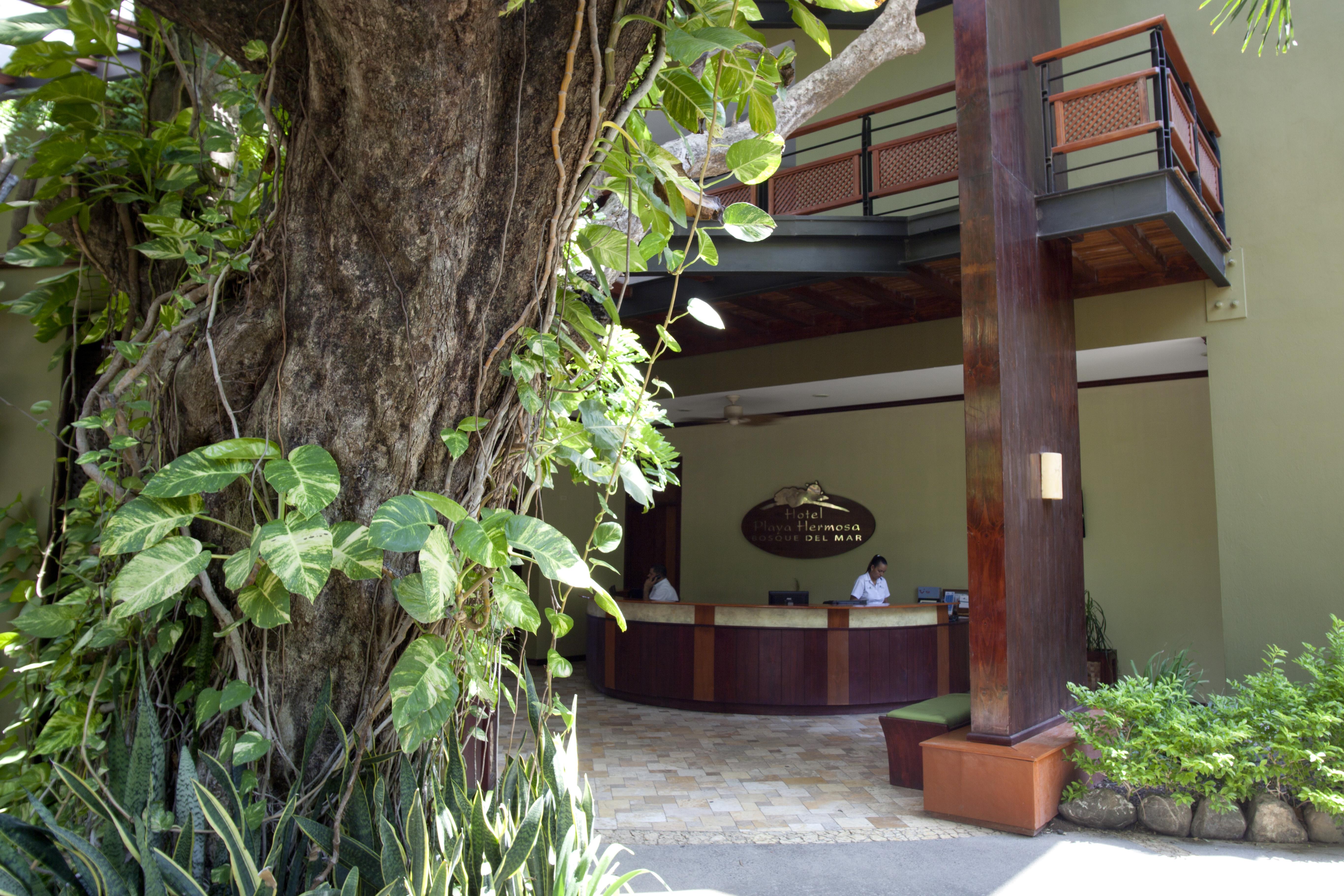 Hotel Bosque Del Mar Playa Hermosa Playa Hermosa (Guanacaste) Exterior foto